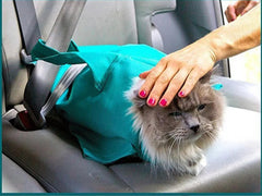 Cat Travel Pouch